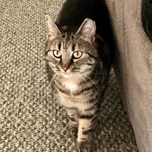 Meet your Posher, Vicki